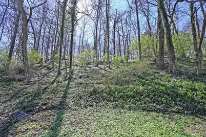 7061 Clough, Anderson Township, OH 45244 - Photo 25