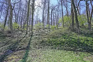 7061 Clough, Anderson Township, OH 45244 - Photo 25