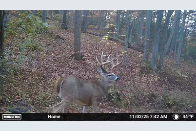 1025 Davis Memorial Road, Peebles, OH 45660 - Photo 57