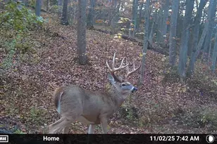 1025 Davis Memorial Rd, Peebles, OH 45660 - Photo 57