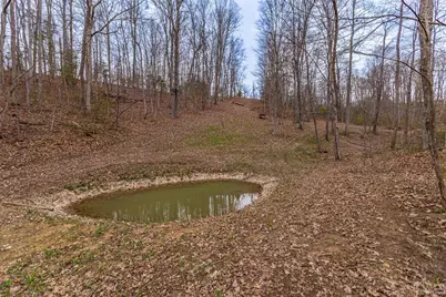 1025 Davis Memorial Road, Peebles, OH 45660 - Photo 47