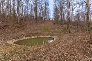 1025 Davis Memorial Rd, Peebles, OH 45660 - Photo 47