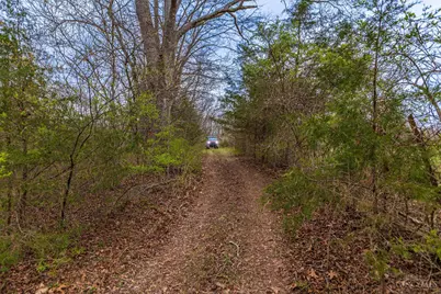 1025 Davis Memorial Road, Peebles, OH 45660 - Photo 53