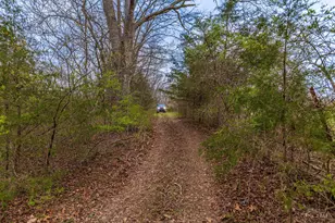 1025 Davis Memorial Rd, Peebles, OH 45660 - Photo 53