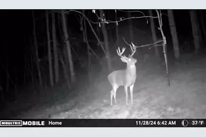 1025 Davis Memorial Road, Peebles, OH 45660 - Photo 61