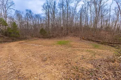 1025 Davis Memorial Road, Peebles, OH 45660 - Photo 49