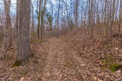 1025 Davis Memorial Road, Peebles, OH 45660 - Photo 51