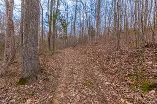 1025 Davis Memorial Rd, Peebles, OH 45660 - Photo 51