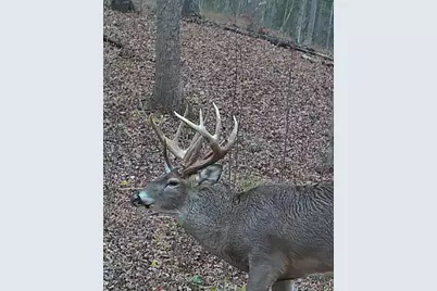 1025 Davis Memorial Road, Peebles, OH 45660 - Photo 55