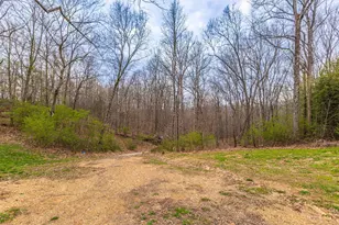 1025 Davis Memorial Rd, Peebles, OH 45660 - Photo 45