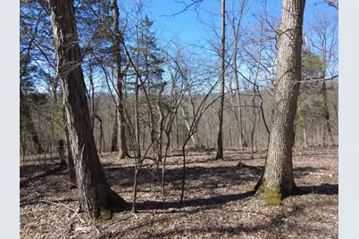 543 Ginger Lane, Oliver Township, OH 45693 - Photo 11