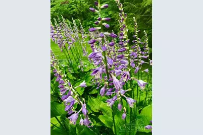 2361 Wilmington Road, Turtle Creek Township, OH 45036 - Photo 57