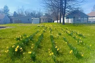 7560 Pippin Rd, Colerain Township, OH 45239 - Photo 27