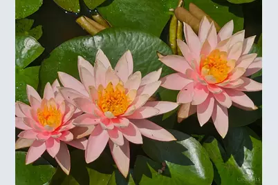 3726 Oakwood Drive, Pierce Township, OH 45102 - Photo 13