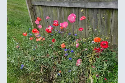 3726 Oakwood Drive, Pierce Township, OH 45102 - Photo 11