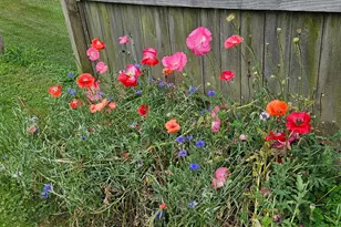 3726 Oakwood Dr, Pierce Township, OH 45102 - Photo 11