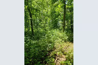 0 Depot Road, Milford Township, OH 45013 - Photo 9