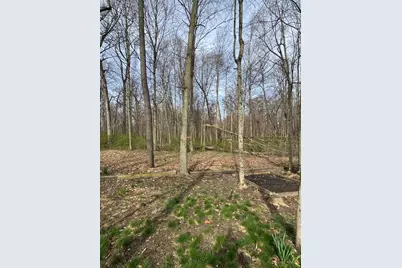 6361 Sterling Woods Drive, Clayton, OH 45315 - Photo 73