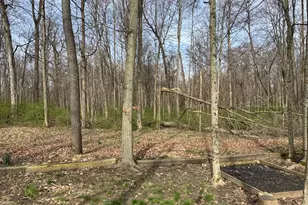 6361 Sterling Woods Dr, Clayton, OH 45315 - Photo 73