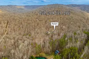 1620 Coffee Hollow Rd, Peebles, OH 45660 - Photo 19