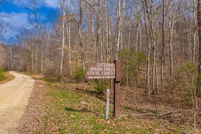 1620 Coffee Hollow Road, Peebles, OH 45660 - Photo 21