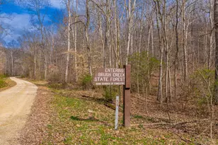 1620 Coffee Hollow Rd, Peebles, OH 45660 - Photo 21
