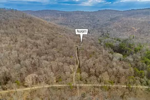 1620 Coffee Hollow Rd, Peebles, OH 45660 - Photo 31