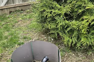 9407 Marcella Dr, Franklin, OH 45005 - Photo 19