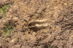 16 Old State Rd, Manchester, OH 45144 - Photo 7