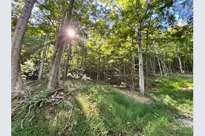 0 Coon Hollow Road, Clarksville, OH 45648 - Photo 7