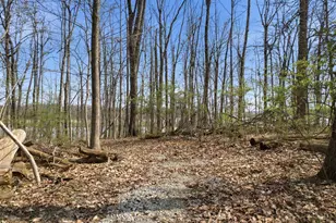 6478 E Lake Shore Dr, Hillsboro, OH 45133 - Photo 31