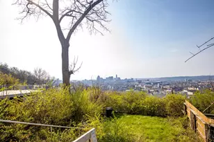 241 Klotter Ave, Cincinnati, OH 45219 - Photo 3