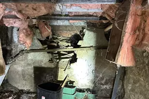 1765 Denham St, Cincinnati, OH 45225 - Photo 47