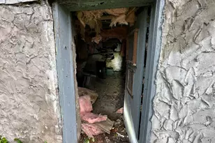 1765 Denham St, Cincinnati, OH 45225 - Photo 45