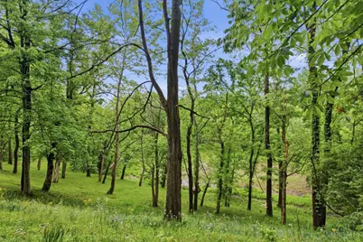 2169 Three Mile Creek Road, Ripley, OH 45167 - Photo 31