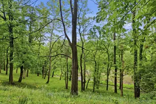 2169 3 Mile Creek Rd, Huntington Township, OH 45167 - Photo 31