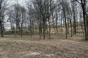 4825 Mt Washington Rd, Hillsboro, OH 45133 - Photo 23