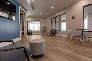 252 Stetson St, Cincinnati, OH 45219 - Photo 27