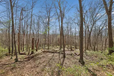 3790 E Fagins Run Loop Road, New Richmond, OH 45157 - Photo 67