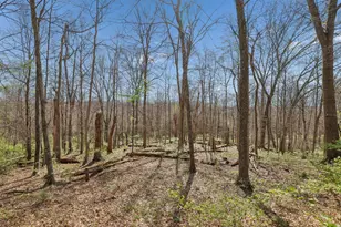 3790 Fagins Run Loop Rd, Ohio Township, OH 45157 - Photo 67