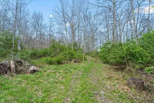 4252 State Route 276, Batavia, OH 45103 - Photo 45