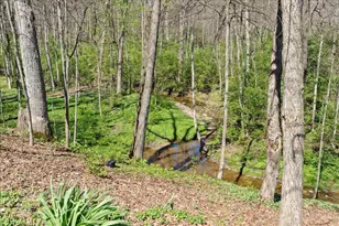 4252 State Route 276, Batavia, OH 45103 - Photo 37