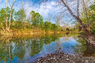 1225 Stoney Rd, Peebles, OH 45660 - Photo 67