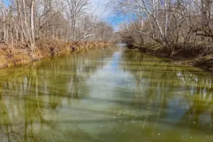 1225 Stoney Rd, Peebles, OH 45660 - Photo 3