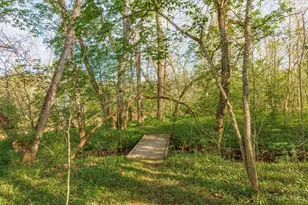 1225 Stoney Rd, Peebles, OH 45660 - Photo 57