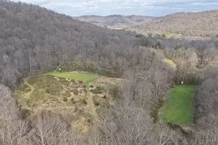 7583 Blue Creek Rd, Jefferson Twp, OH 45684 - Photo 43