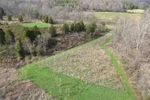 7583 Blue Creek Rd, Jefferson Twp, OH 45684 - Photo 35