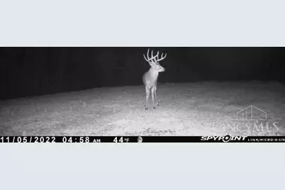 7583 Blue Creek Road, Jefferson Twp, OH 45684 - Photo 53