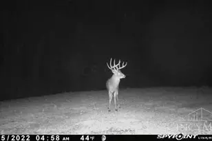 7583 Blue Creek Rd, Jefferson Twp, OH 45684 - Photo 53