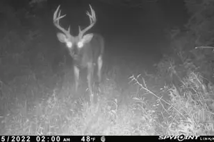 7583 Blue Creek Rd, Jefferson Twp, OH 45684 - Photo 51